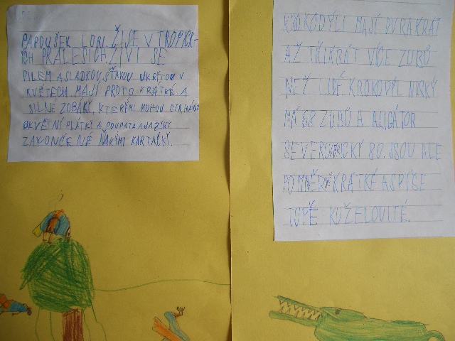 Karty zvířat III